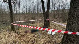 В Житомирской области раскрыли двух киллеров: готовили убийство украинского генерал-майора