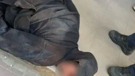 Чоловік у неадекватному стані вбив собаку — його затримано
