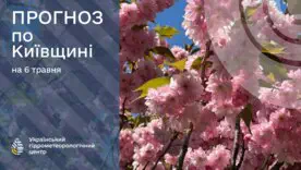 Киевщина готовится к жаре: прогноз погоды на 6 мая