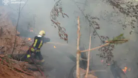 В Закарпатье продолжают тушить пожар на площади 75 гектаров леса/Фото: ГСЧС