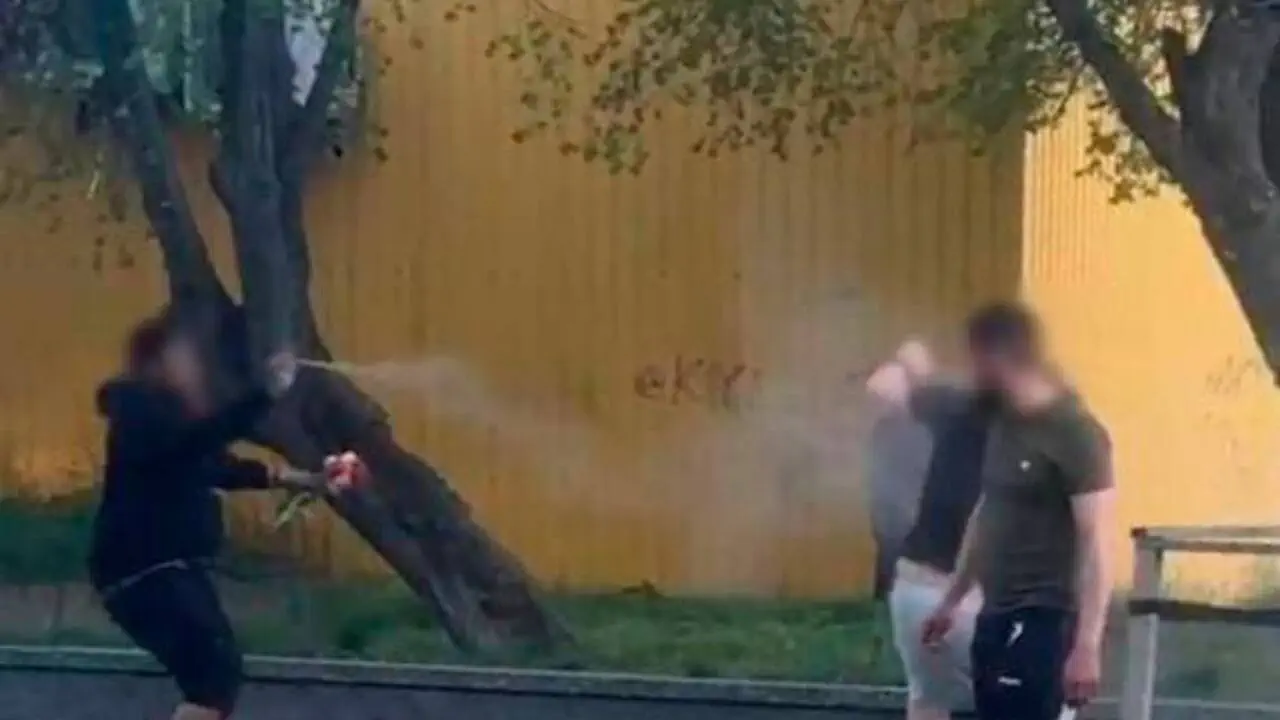 Хуліган-романтик із квітами під час затримання напав на поліцейського