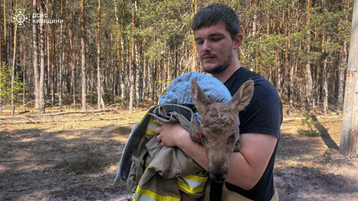 Фото: ГСЧС Украины