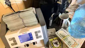 Арестованы пять высокопоставленных полицейских и сотрудников МВД по делу о прикрытии "порноофисов"