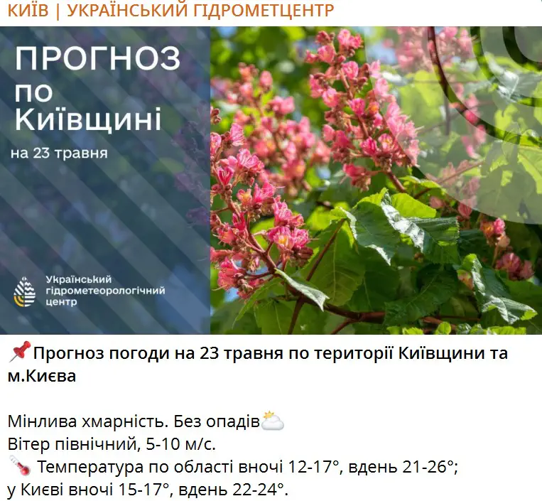 Прогноз погоди на 23 травня по території Київщини та м.Києва