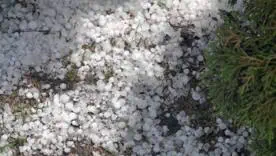 Негода в Івано-Франківську та Львові сьогодні: знеструмлення, град і повалені дерева