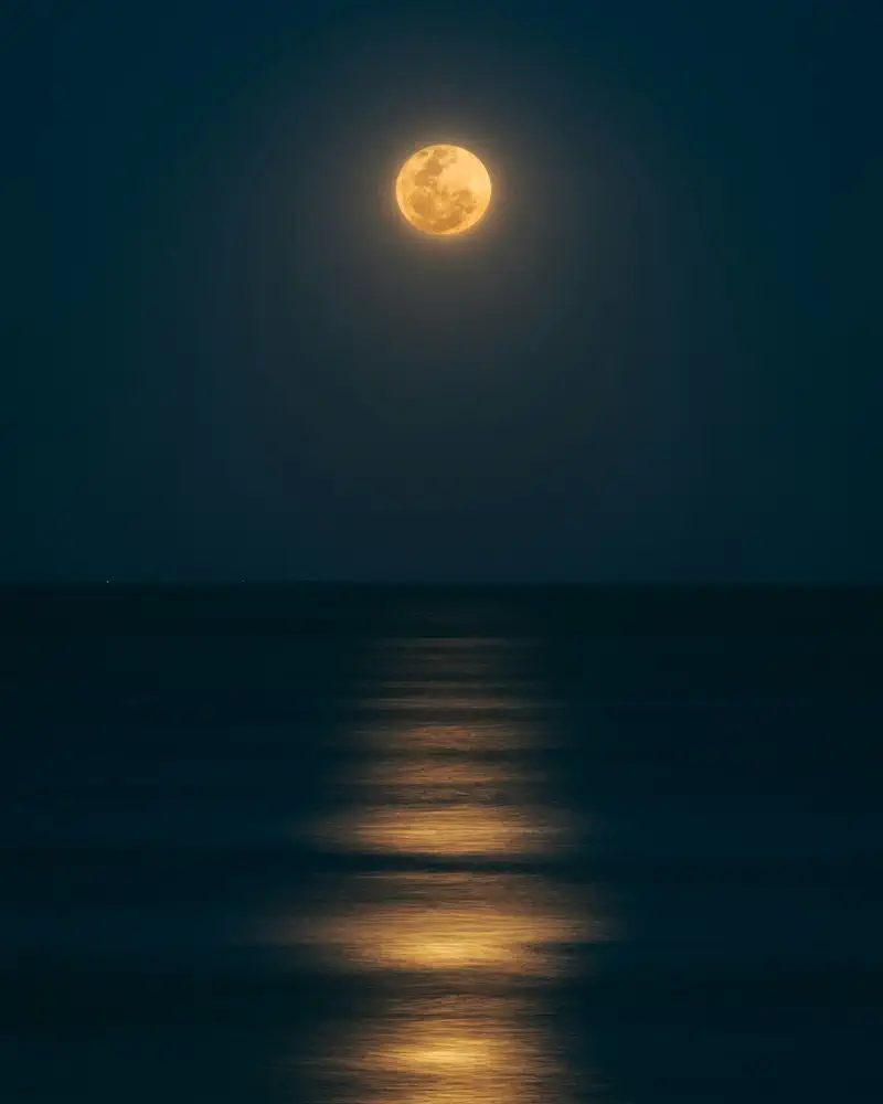 Фото: Unsplash