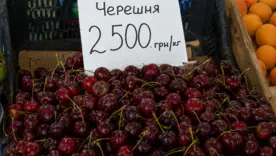  польза и вред черешни
