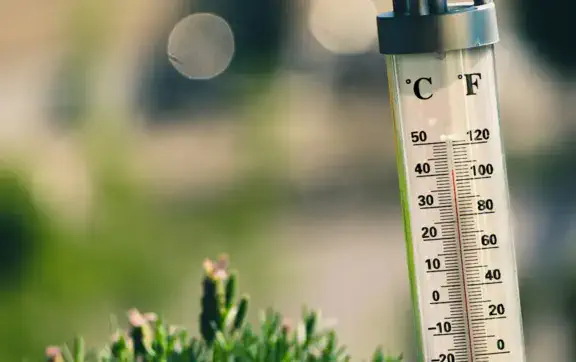 Якою буде погода літом в Україні: синоптик розвінчав міфи про спеку +50 °C та аномальну посуху