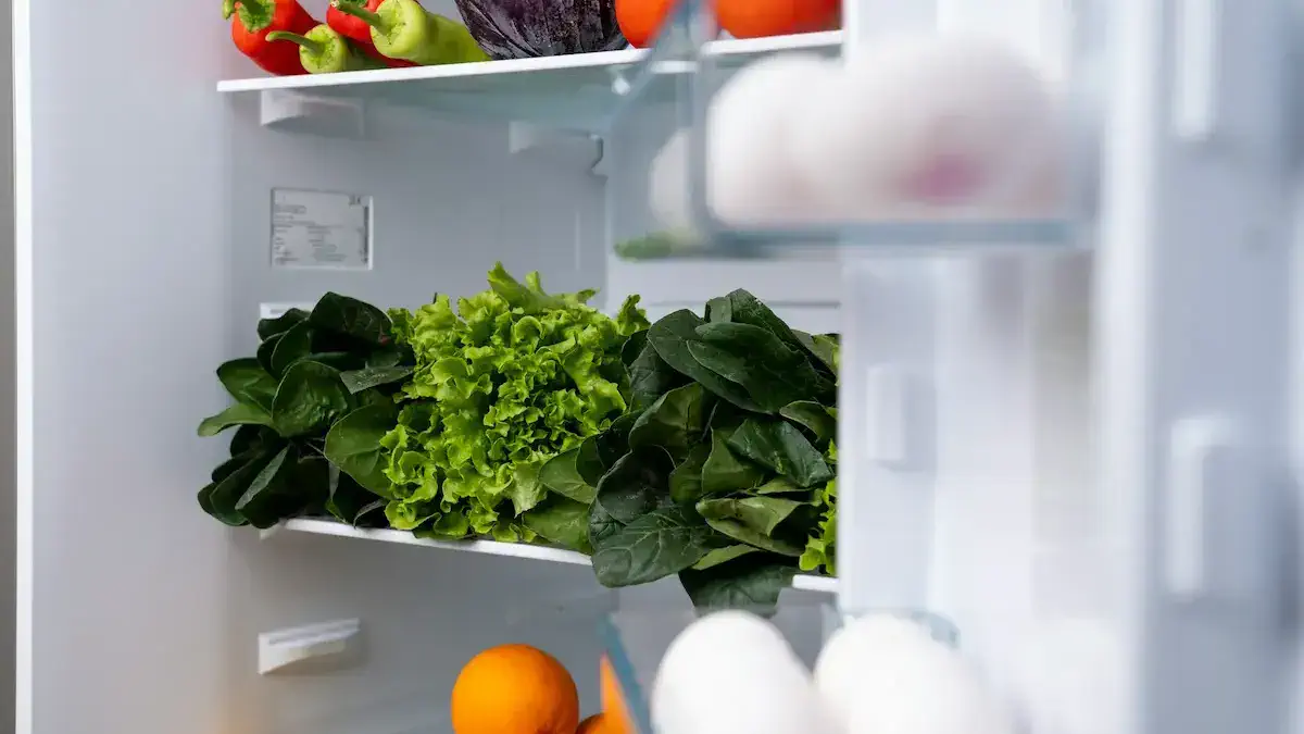 Пастка на дверцятах холодильника: де мають лежати продукти, щоб не перетворитися на джерело бактерій