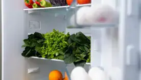 Пастка на дверцятах холодильника: де мають лежати продукти, щоб не перетворитися на джерело бактерій