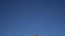 Лиза Кандыба