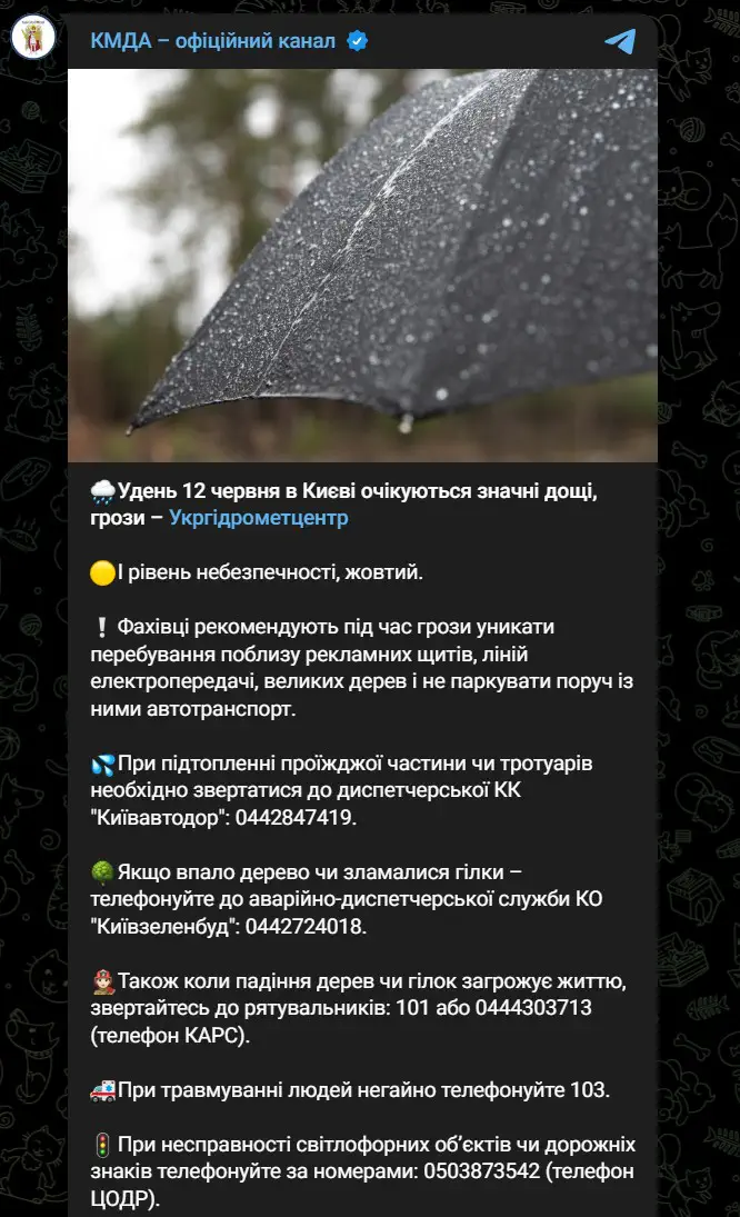 Удень 12 червня в Києві очікуються значні дощі, грози