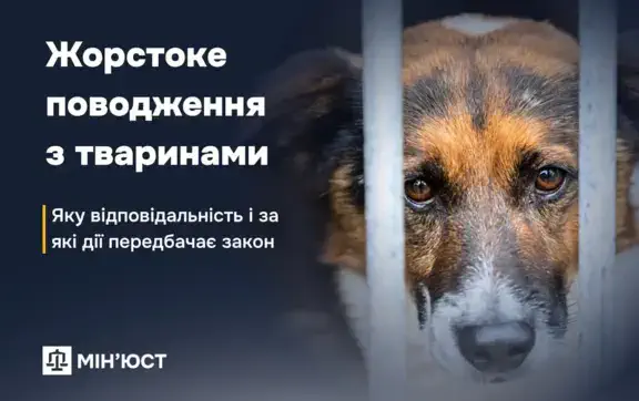 Що робити, якщо ви стали свідком знущання з тварини, та як працює покарання "на практиці"