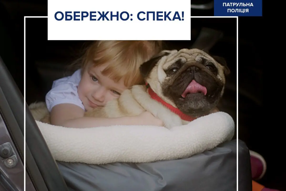 Як безпечно перевозити дітей та тварин в авто влітку: поради водіям