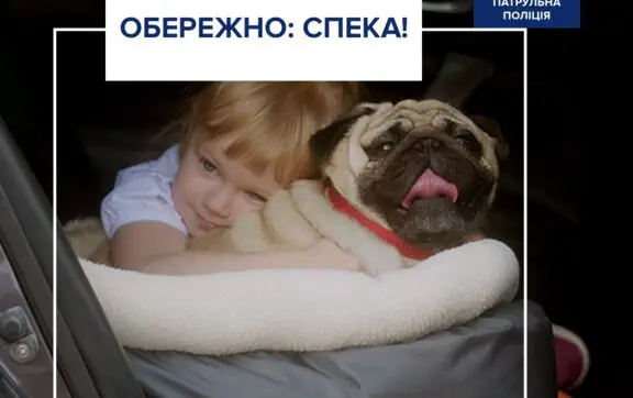 Як безпечно перевозити дітей та тварин в авто влітку: поради водіям
