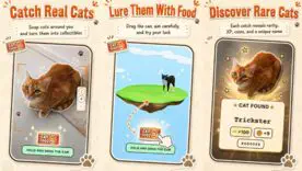 В Google Play появилась игра, где нужно собирать уличных котов: как работает CatchCat