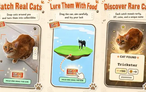 В Google Play появилась игра, где нужно собирать уличных котов: как работает CatchCat