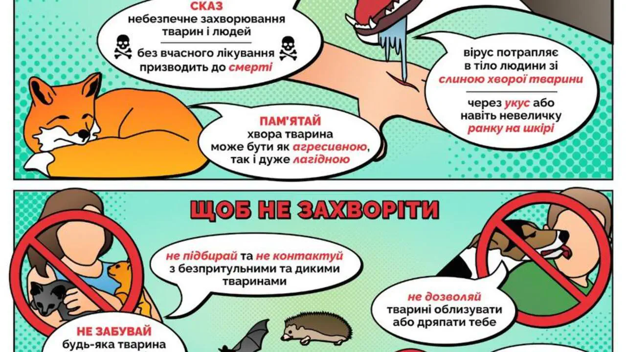 Как распознать бешенство у животных и защитить ребенка