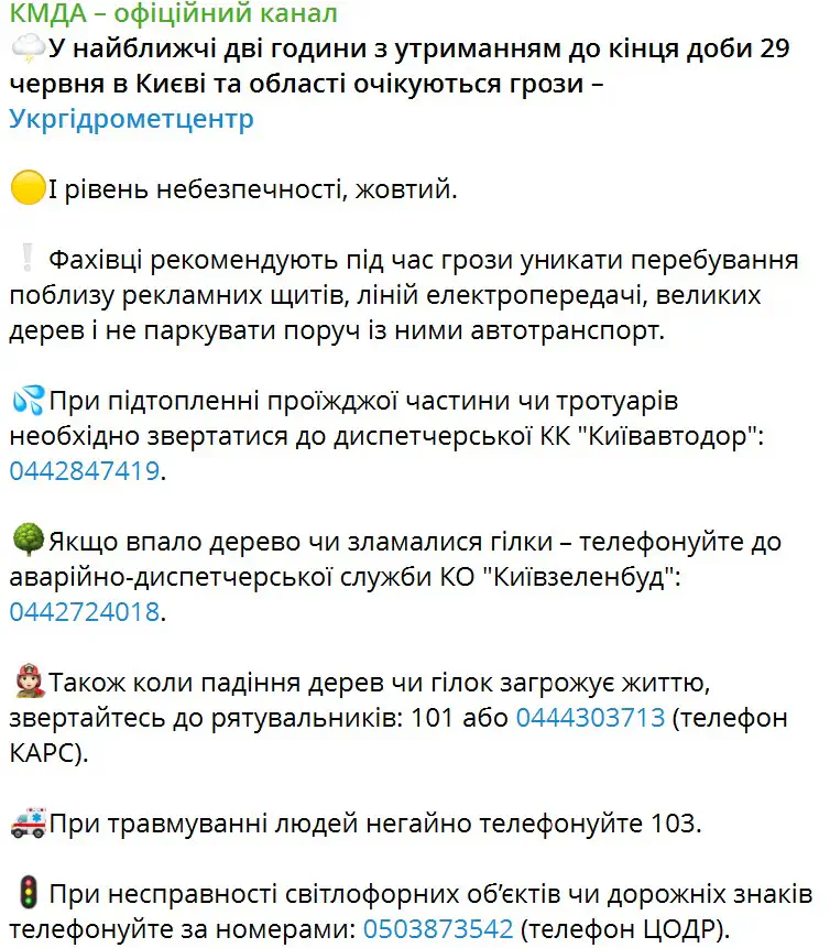 У найближчі дві години з утриманням до кінця доби 29 червня в Києві та області очікуються грози