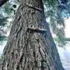 Наталка Діденко попередила про екстремальні +38 °C, вечірні шквали та назвала дату похолодання