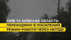 Графики возвращаются: жара «плавит» сеть, а Киевскую область штурмует непогода