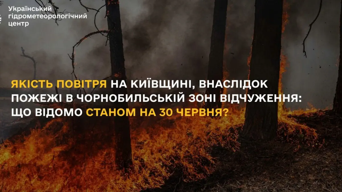 Свідоме енергоспоживання у спеку: як допомогти енергетикам вберегти систему