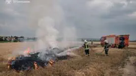 Масштабні екопожежі в Україні/Фото: ДСНС 