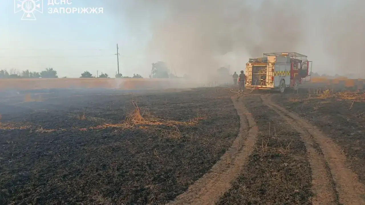 "Вогняний смерч" у Чорнобилі та спалена пшениця: Росія масовано нищить українську землю вогнем