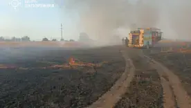 "Огненный смерч" в Чернобыле и сожжённая пшеница: Россия массово уничтожает украинскую землю огнём
