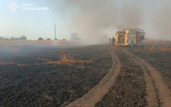 "Вогняний смерч" у Чорнобилі та спалена пшениця: Росія масовано нищить українську землю вогнем