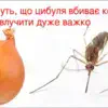 як позбутися комарів влітку 