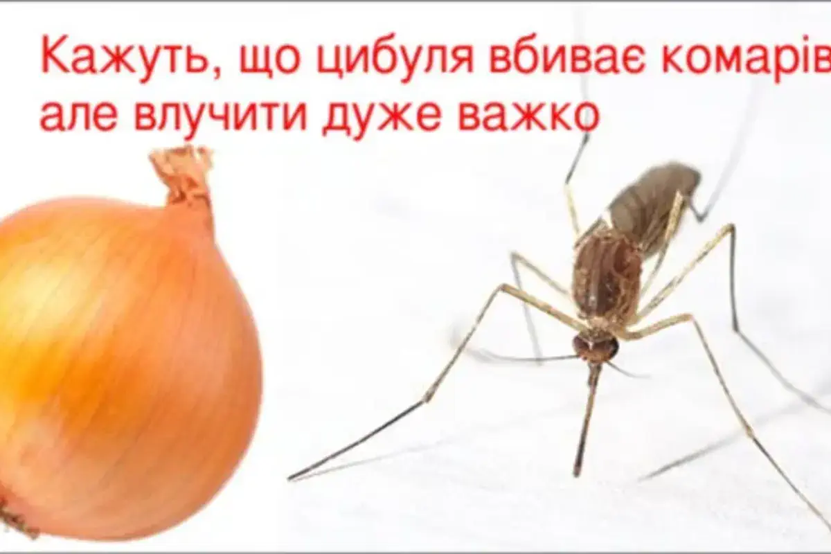 як позбутися комарів влітку 