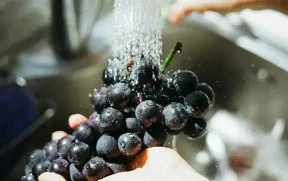 Як ефективно змити пестициди з літніх овочів та фруктів: поради токсикологів та дієтологів
