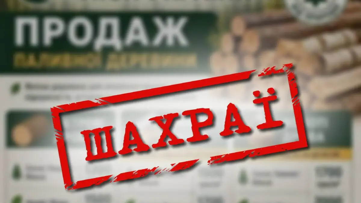 Пастка на OLX та у соцмережах: як кібершахраї маскуються під ДП «Ліси України»