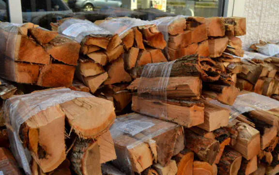 В Украине начался прием заявок на субсидии для покупки дров и газа: как оформить
