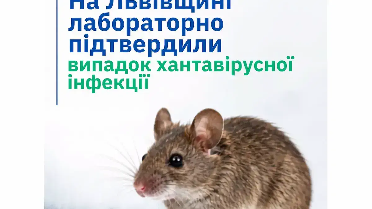 На Львівщині підтвердили випадок хантавірусу: що відомо про стан хворого та джерело інфікування
