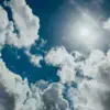 Аномальная жара до +40°С и пожарная опасность: детальный прогноз погоды в Украине на 5 августа