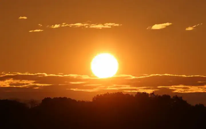Температурний пік 5 серпня: синоптики попередили про спеку до +38 °C і надзвичайну пожежну небезпеку
