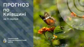 Найспекотніший день перед прохолодою: якою буде погода в Києві 11 серпня