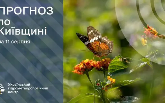Самый жаркий день перед прохладой: какая будет погода в Киеве 11 августа