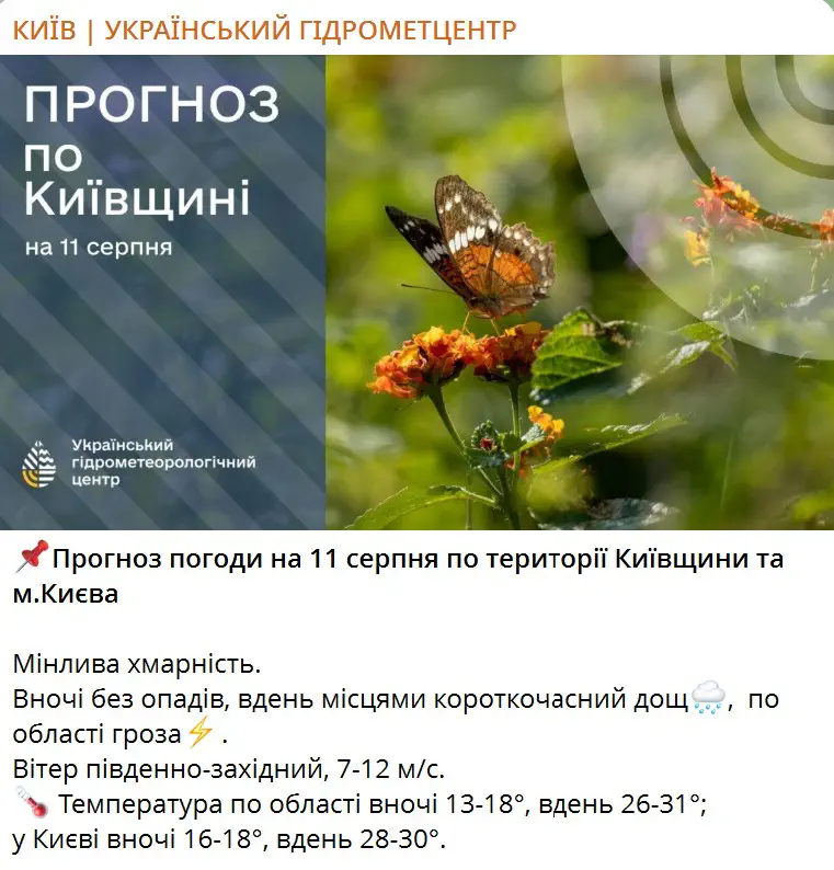 Прогноз погоди на 11 серпня по території Київщини та м.Києва