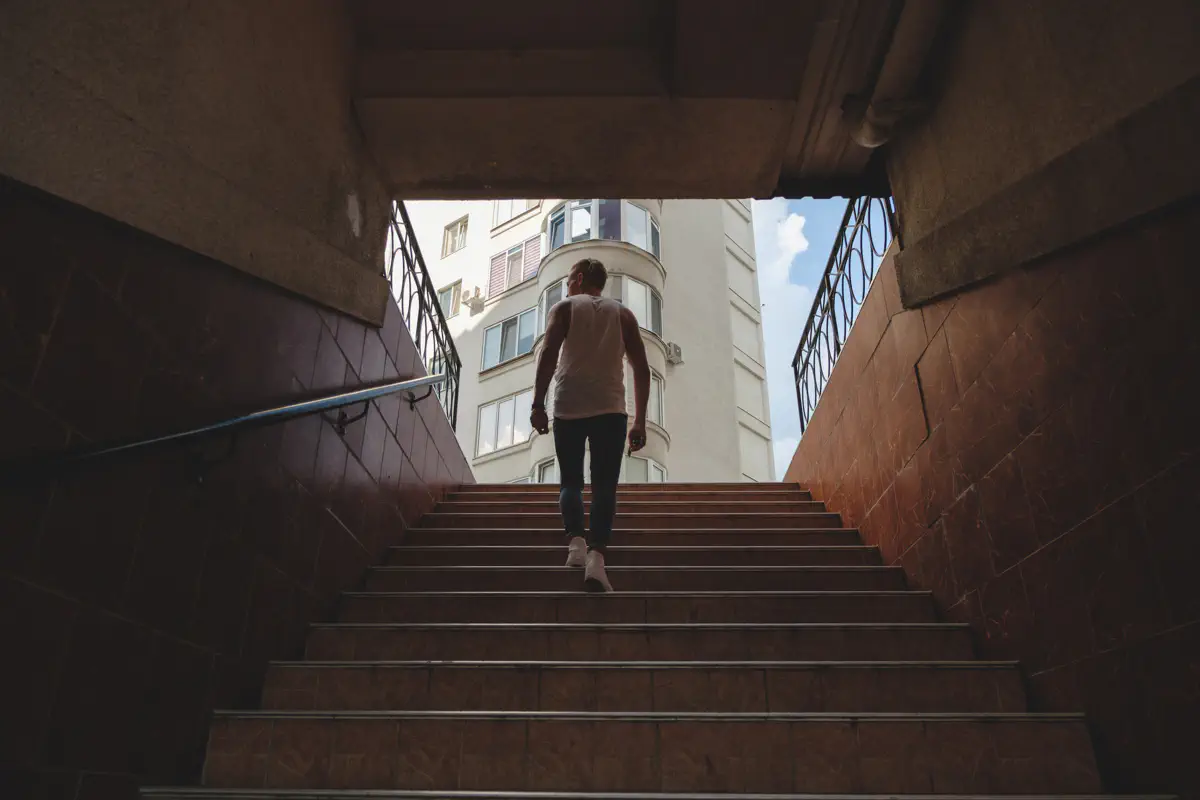 користь підйому по сходам дослідження вчених 