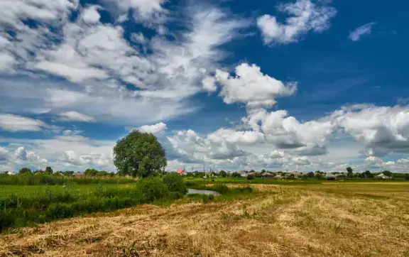 Погода в Україні 17 серпня: де очікувати грозові дощі, а де утримається спека до +33 °C