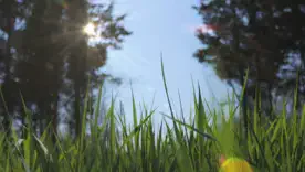 Грозы, град и жара до +33°: прогноз погоды в Украине на 18 августа