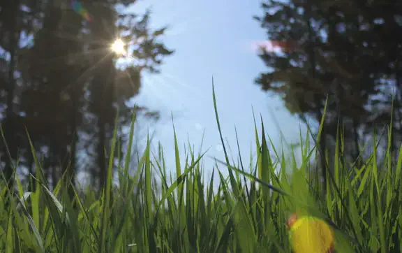 Грозы, град и жара до +33°: прогноз погоды в Украине на 18 августа