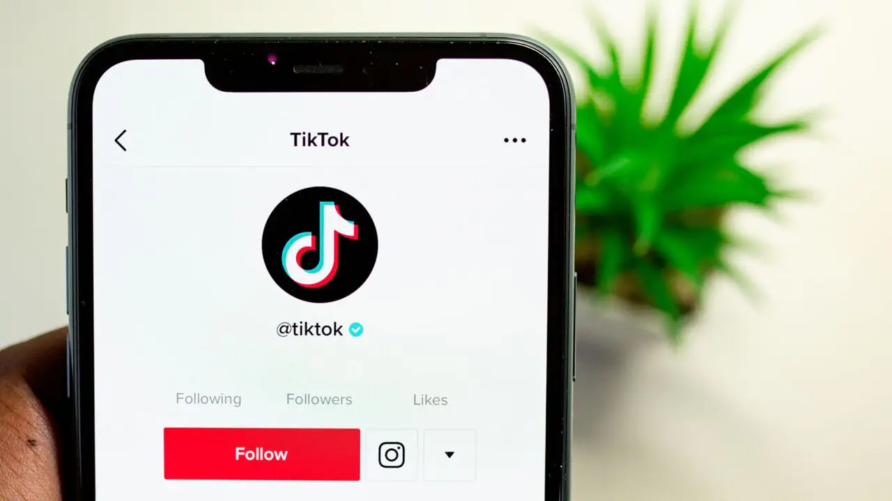 Перевести деньги в чате: TikTok тестирует новую функцию финансовых транзакций