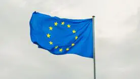 Без паники и фейков: действительно ли каждой украинке в ЕС придется показывать электронный кабинет