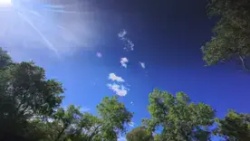 Аномальные +35°C в Киеве: какие ограничения действуют в столице и чем грозят погодные условия