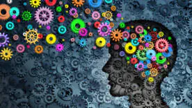 Чому високий IQ не захищає від дурних рішень