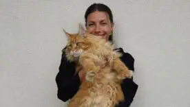 Марина Бех с котом